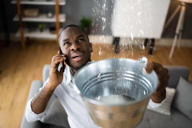 Best Water damage restoration services  in City View, SC