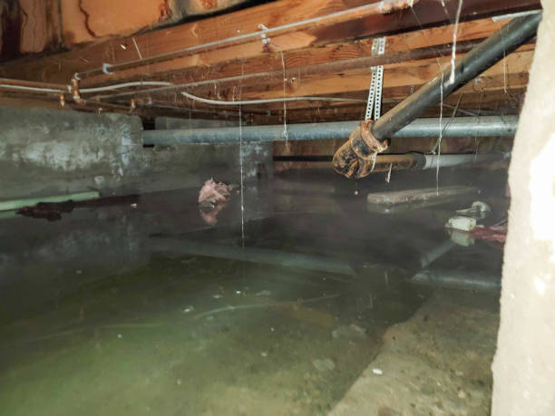 Best Fire Damage Restoration  in City View, SC