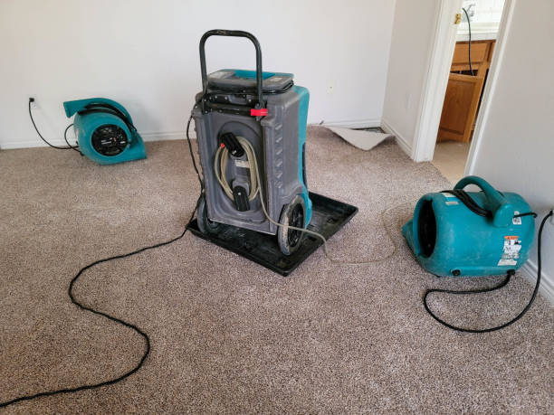 Best Sewage cleanup and water damage restoration  in City View, SC
