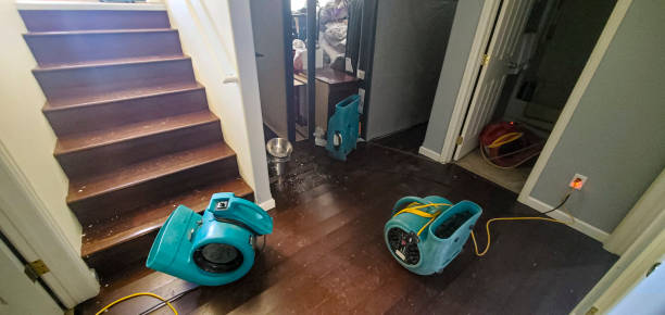 Best Water damage contractors near me  in City View, SC
