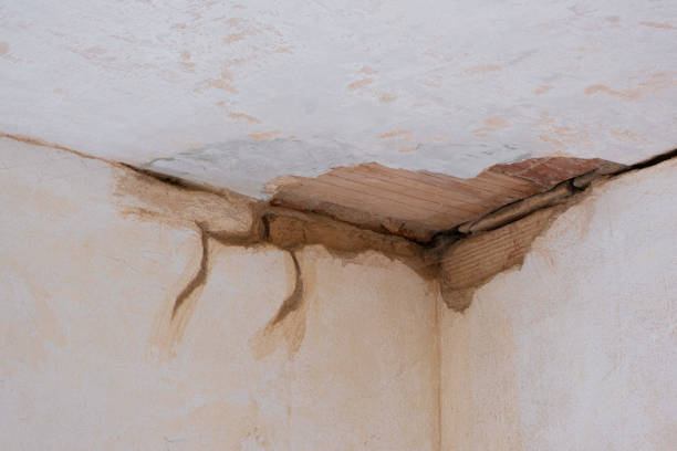 Professional Water damage restoration in City View, SC
