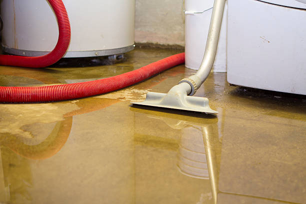 Best Professional water damage repair  in City View, SC