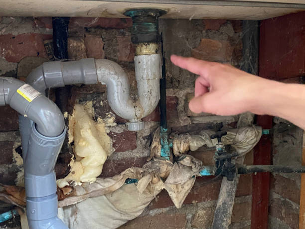  City View, SC Water damage restoration Pros