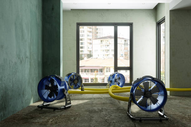 Sewage cleanup and water damage restoration in City View, SC